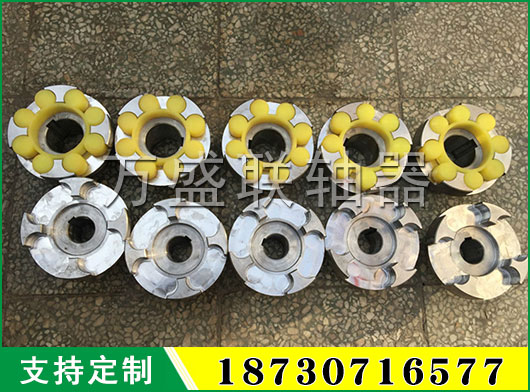 LMS(MLS)型雙法蘭型梅花形彈性聯(lián)軸器