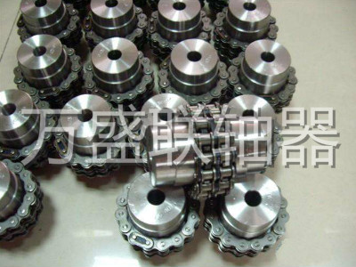 新生代鏈條聯(lián)軸器開辟新發(fā)展領(lǐng)域